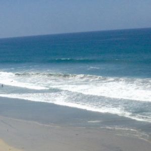 Meet your Posher, Lexie